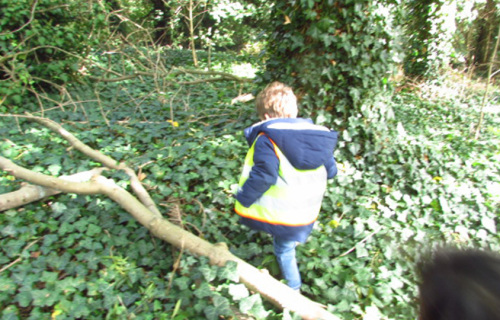exploring-the-woods-around-our-nursery